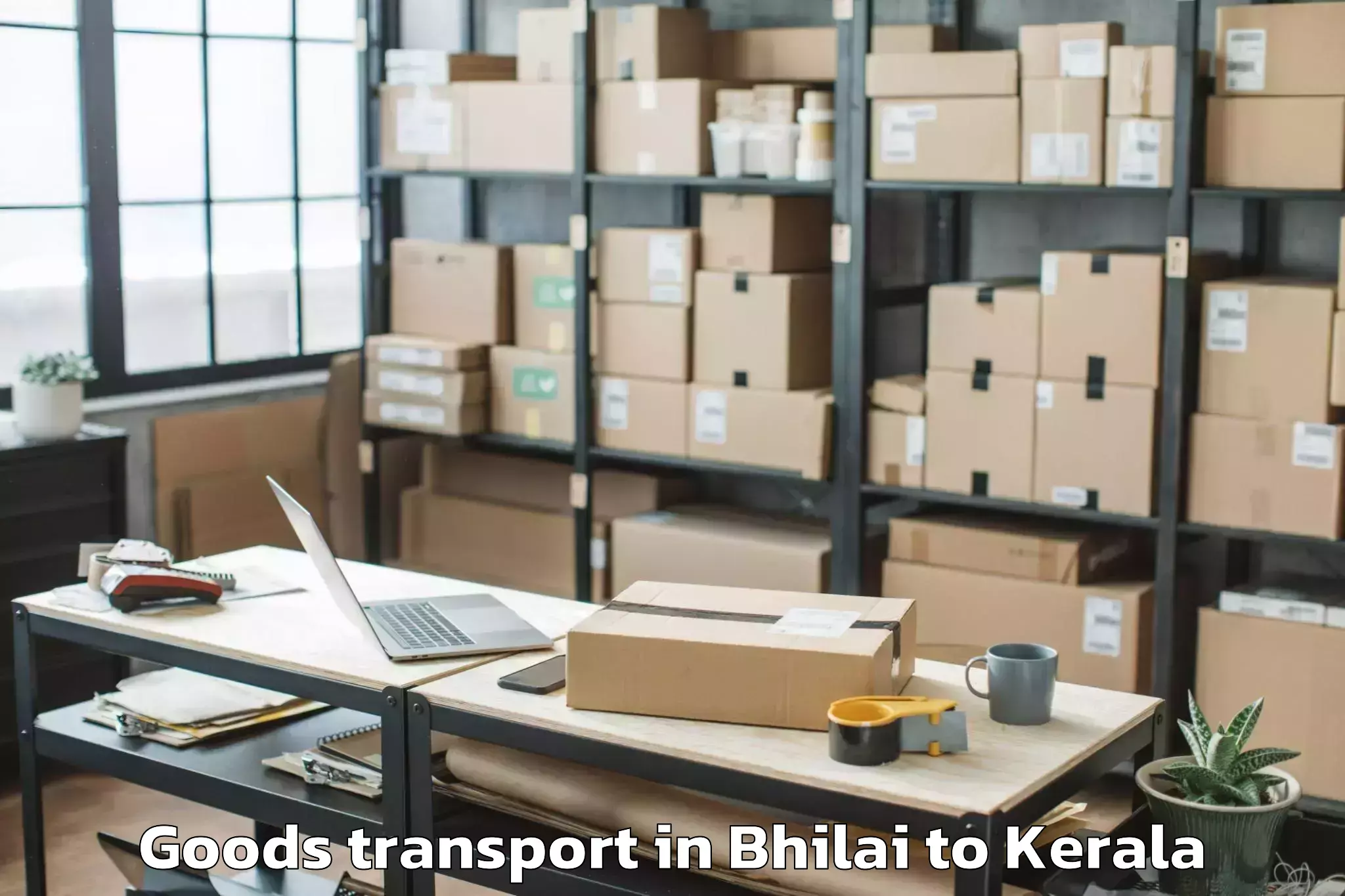 Book Your Bhilai to Thachanattukara Goods Transport Today